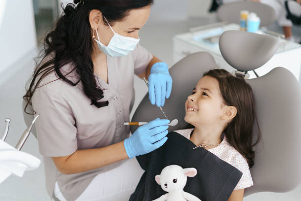 Professional Holistic Dental Care Services in Thornport, OH